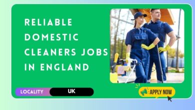Reliable Domestic Cleaners Jobs in England