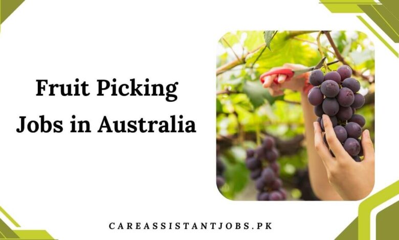 Fruit Picking Jobs in Australia