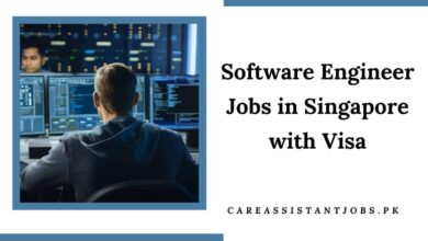 Software Engineer Jobs in Singapore with Visa