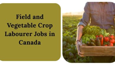Field and Vegetable Crop Labourer Jobs in Canada